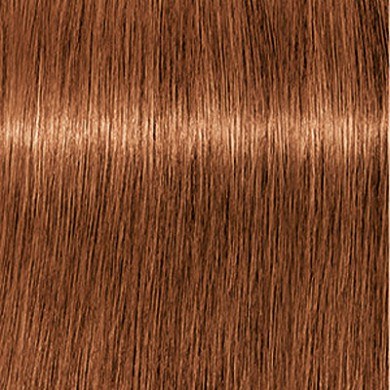 Schwarzkopf Igora Royal Absolutes 60ml