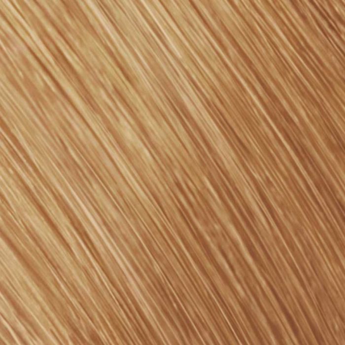 Goldwell Topchic Can 250g