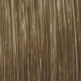 Goldwell Topchic Can 250g