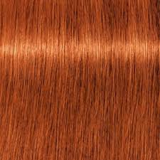 Schwarzkopf Igora Royal 60ml