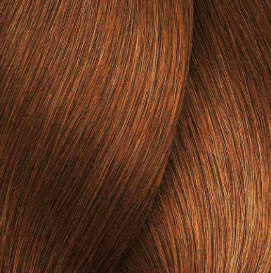 L’Oréal Professionnel Inoa 60g