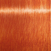 Indola Color Style Mousse 200ml