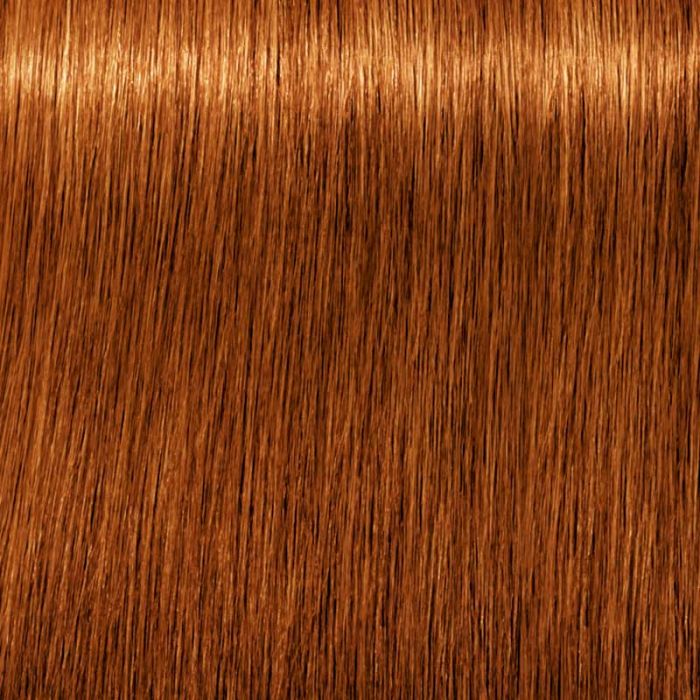 Igora Royal Absolutes Permanent Color OTB Hair & Beauty
