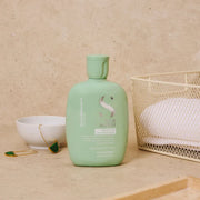 Alfaparf Milano Semi Di Lino Balancing Low Shampoo 1000ml